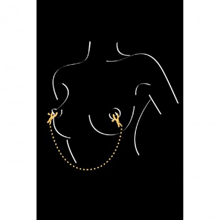 ACCESSOIRES PINCES A SEINS AVEC CHAINE DE "SWEET CARESS" ACCESSOIRES PINCES A SEINS AVEC CHAINE DE "SWEET CARESS"
