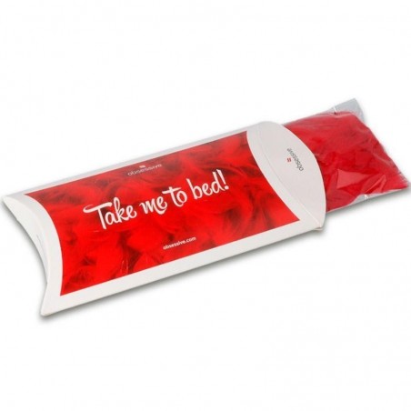 Jeux et Livres  PETALES DE ROSES ROUGES "TAKE ME TO BED"