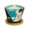 Bien-être BOUGIE DE MASSAGE "SHUNGA" PARFUM FLEURS DES ILES Bien-être BOUGIE DE MASSAGE "SHUNGA" PARFUM FLEURS DES ILES