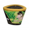 Bien-être BOUGIE DE MASSAGE "SHUNGA" parfum The Vert Exotique Bien-être BOUGIE DE MASSAGE "SHUNGA" parfum The Vert Exotique