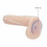 Jeux et Livres SAVON A VENTOUSE CLAIR 17 CM AVEC COULEE SPERME EN FORME DE SEXE D HOMME Jeux et Livres SAVON A VENTOUSE CLAIR 17 CM AVEC COULEE SPERME EN FORME DE SEXE D HOMME