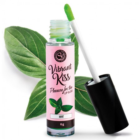 Bien-être GLOSS COMESTIBLE EFFET VIBRANT A LA MENTHE DE "SECRET PLAY" Bien-être GLOSS COMESTIBLE EFFET VIBRANT A LA MENTHE DE "SECRET PLAY"